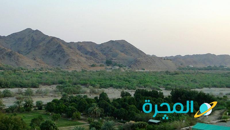 الأودية في المملكة العربية السعودية | تعرف على الأودية الموجودة في 13 ...