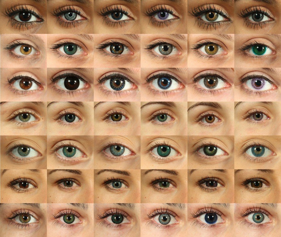 أنواع العيون
