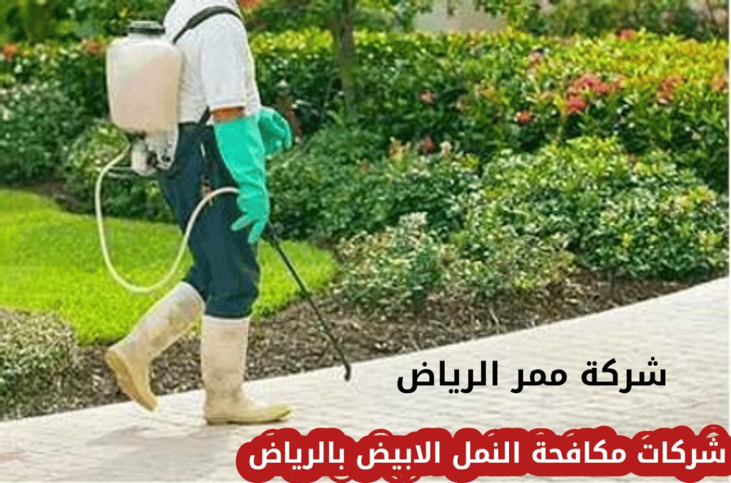 شركة مكافحة الحشرات في الرياض