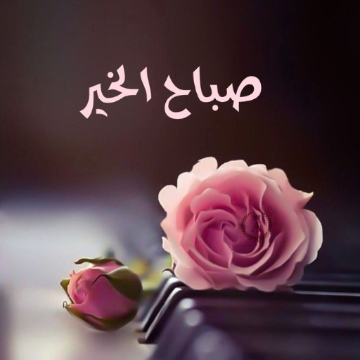 أجمل عبارات صباح الخير 2025