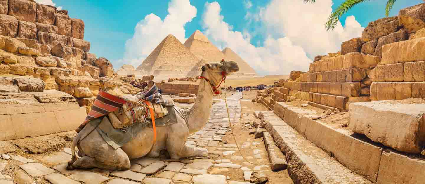 اختبر لهجتك المصرية: هل تفهم أحدث المصطلحات والأمثال الشعبية؟ 1 اللهجة المصرية العامية