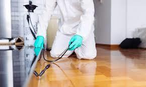 شركة مكافحة حشرات وتنظيف بمحايل عسير