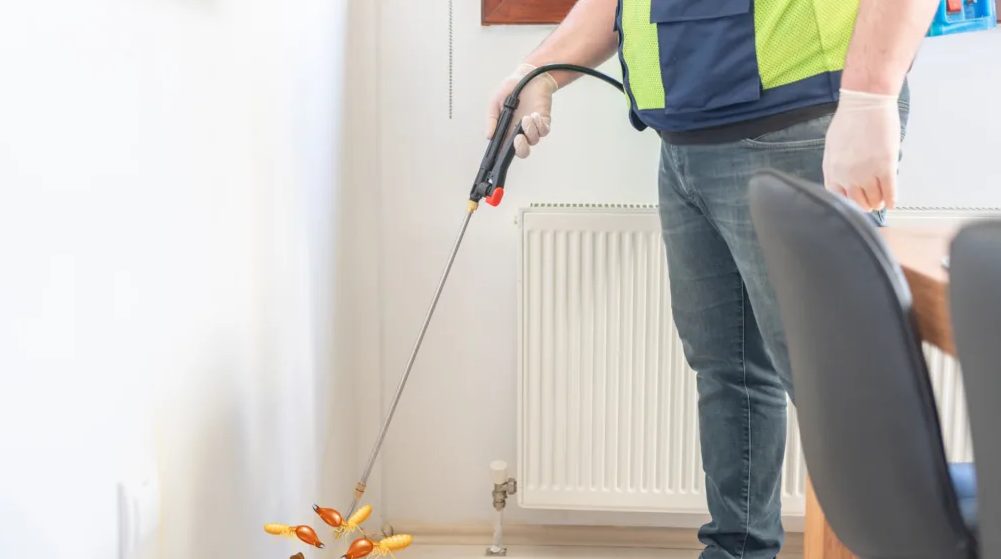 شركة مكافحة حشرات بالرياض