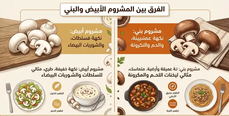 إنفوجرافيك يوضح الفرق بين مشروم أبيض ذو النكهة الخفيفة ومشروم بني ذو النكهة العميقة، مع توضيح أفضل الاستخدامات لكل منهما في الطبخ.