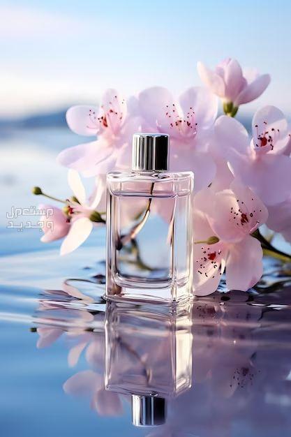 العطر الصيفي المناسب لأجواء السعودية